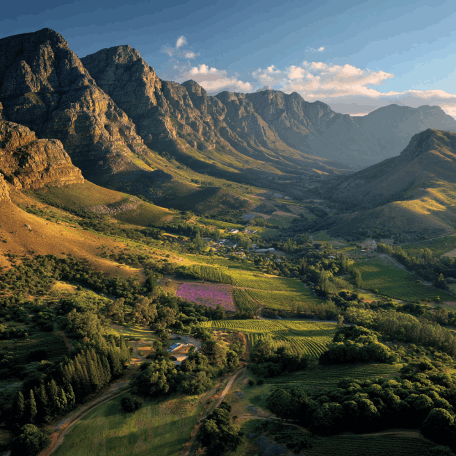 africa